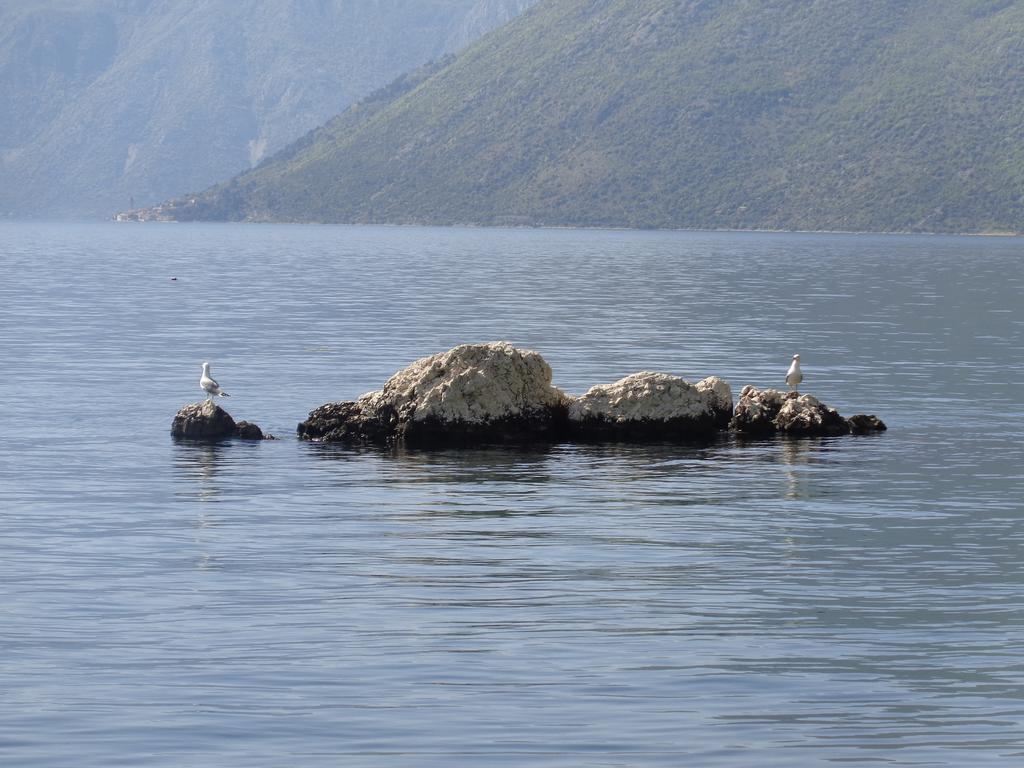 Apartments Ponta Kotor Luaran gambar